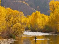 An angler crossing the Big Wood River just South of Ketchum, Idaho. Terry Ring Photo
