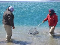 Fly fishing picture