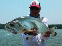 Nice Payara or Vampire fish