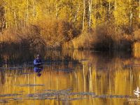 Golden light upon Silver Creek. Terry Ring photo