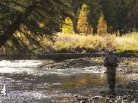 Silver Creek Outfitters guide Pete Debaun carefully works his way along the upper reaches of the Big Wood River. Terry Ring photo.