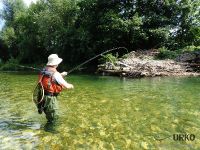 Savinja River is managed by Angling Club Ljubno
Urko Fishing Adventures