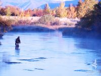 Fly angler casts into the waters of Silver Creek, Idaho on a frosty fall morning. Terry Ring photo.