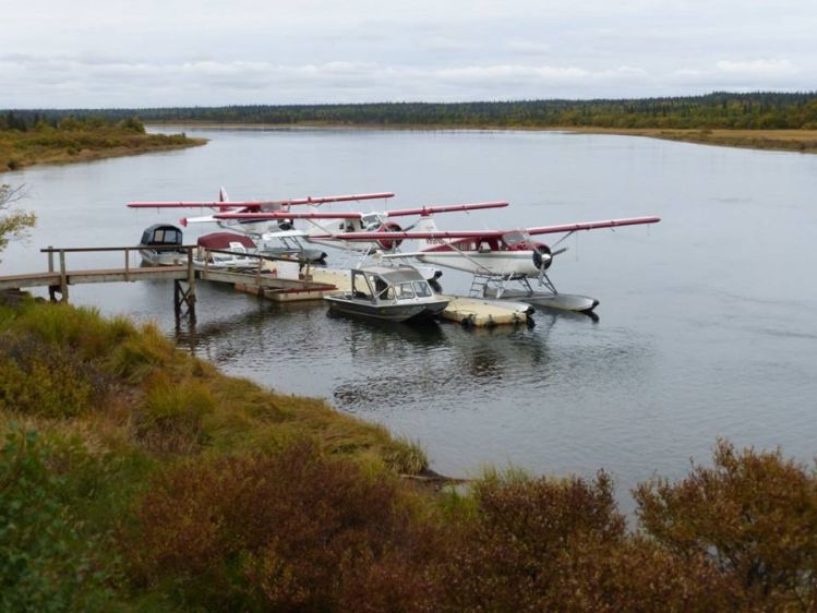 Our fleet of 3 De Havilland Beavers