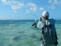 Foto de pesca con mosca