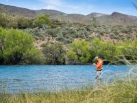 Fly fishing picture