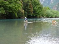 Fly fishing picture