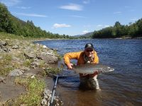 Gaula Flyfishing Lodge manager Jouni Rauha and his big salmon caught and released on beat 5 - Evjen pool