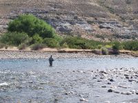 Foto de pesca con mosca