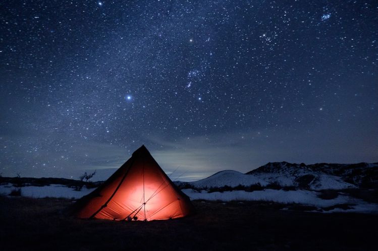 Orion stands watch over winter camp on the North Platte. Photo T&amp;T Creative Pro Mark Lance.