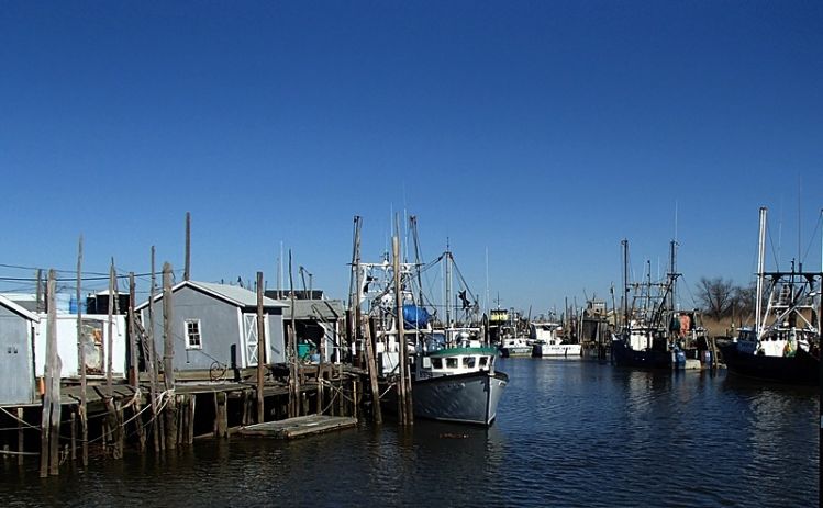 Down the street is a commercial fishing area. There is also a ferry to NYC on the other side of the creek. 