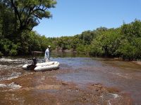 Fly fishing picture