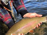 Eagle river Rainbow from Jan 2016