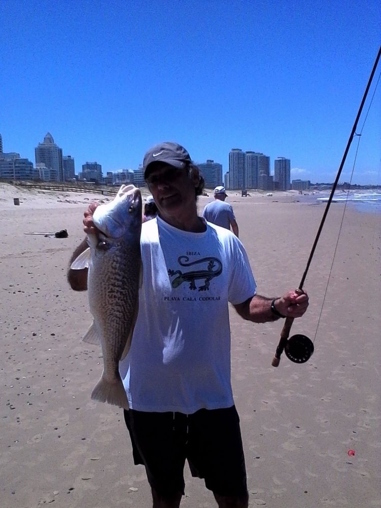 Corvina en Punta del este