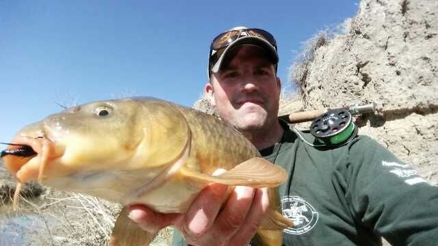 Carp are on the feed in colorado!