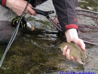 Fly fishing picture