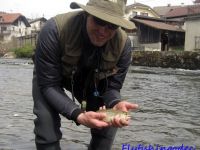 Fly fishing picture