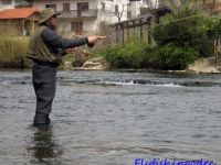 Fly fishing picture