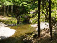 Fly fishing picture