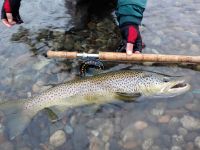 Foto de pesca con mosca