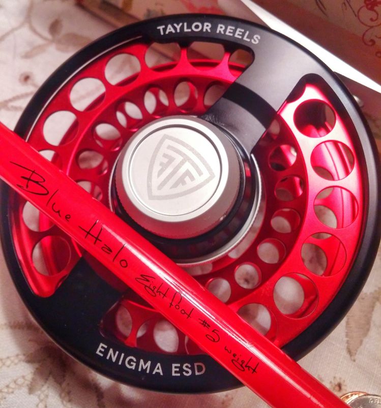 After a long 5 month wait from the time I Pre-Ordered the Taylor Reels Enigma ESD until it showed up it's finally here! Almost 3 months behind schedule but well worth the wait. I have high expectations, the drag seems like it's going to be a workhorse! Lo