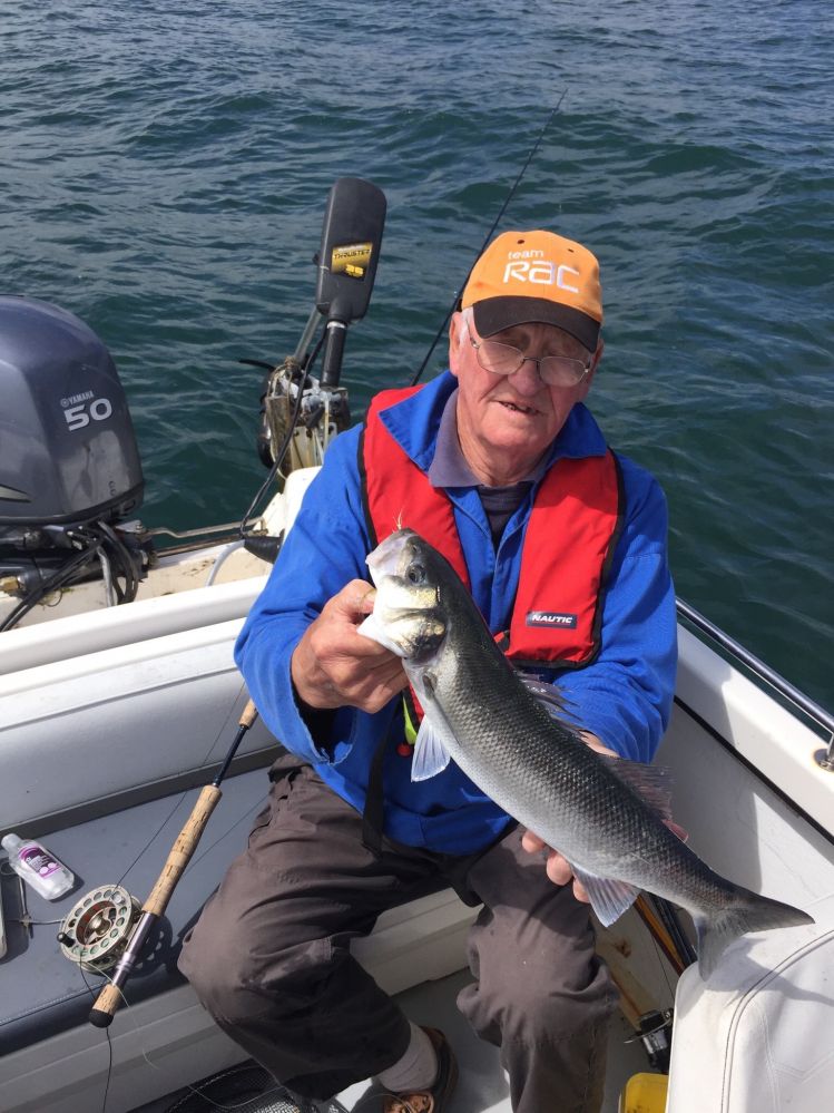 Bass on the Fly in Cork Harbour 