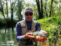 Urko Fishing Adventures Day 4: Bistra (Angling Club Vrhnika)
