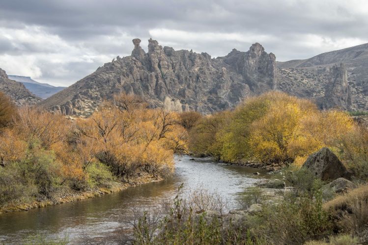 Malleo river on its lower stretch... known for being the finest waters to fish dry flies in Patagonia