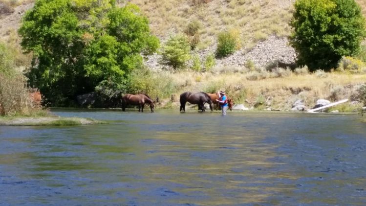 Provo river utah just another day on the water