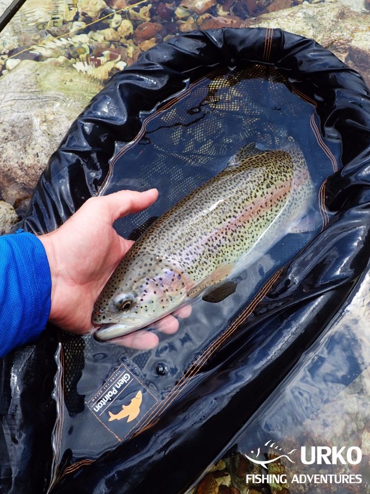 Another rainbow in the net!!! #keepemwet