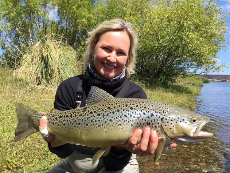 Heidi strikes back! another brown 200 yards downstream on the middle Limay