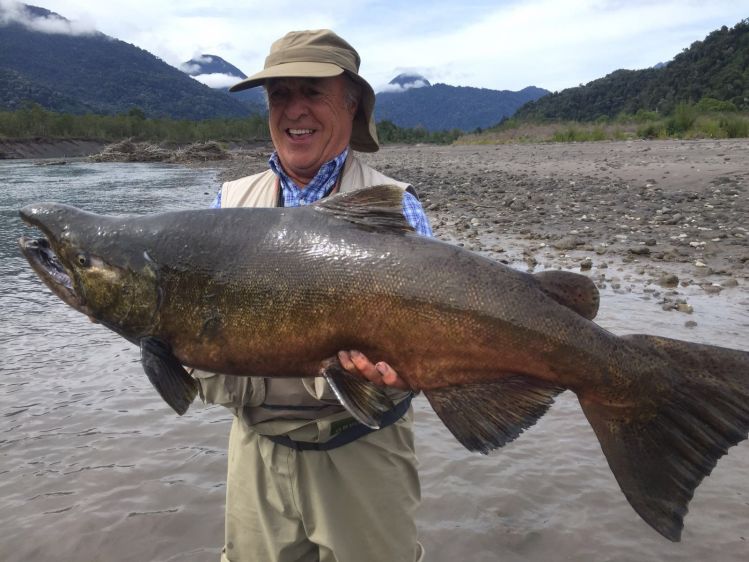 King Salmon (Chinook) 2015, Petrohué River