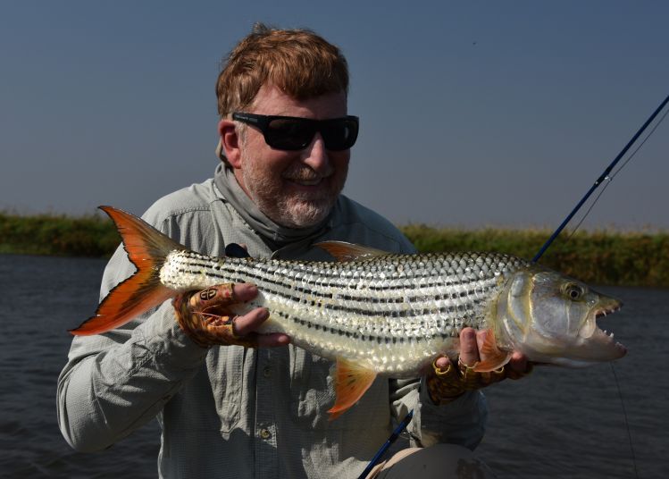 9# tiger fish from Okavango River, Botswana.