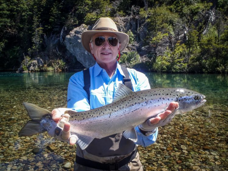 William Carpenter, Land Locked Salmon 26", January 2016