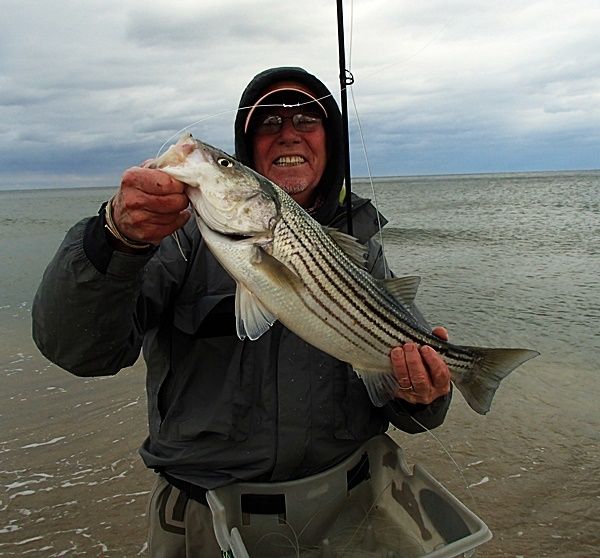 Hot surf action continues in the Northeast. Stripers and big big bluefish are in and out of the suds all day.......little guy!
