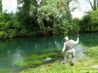 Fly fishing in Slovenia with Urko Fishing Adventures