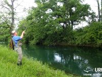 Dry fly madness at the river Bistra!