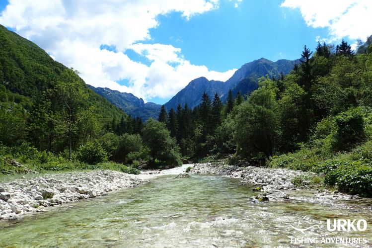 Lepena river is one of the earliest tributaries of the river Soča