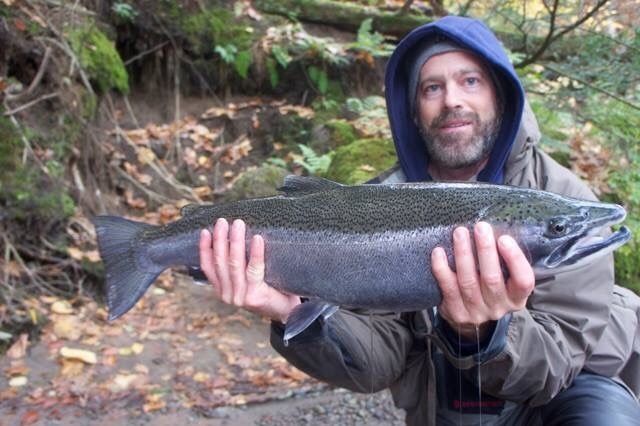 <a href="http://mckaysfishingadventures.bangordailynews.com/2016/12/04/home/salmon-river-new-york-2016/">http://mckaysfishingadventures.bangordailynews.com/2016/12/04/home/salmon-river-new-york-2016/</a>