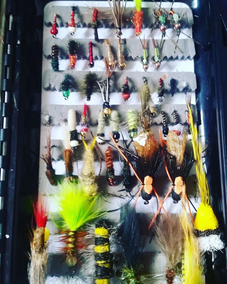 A quater  of my fly box