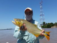 Fly fishing picture