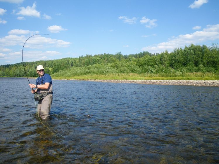Fly fishing for trout, grayling, Whitefish and Pike on the river Glomma