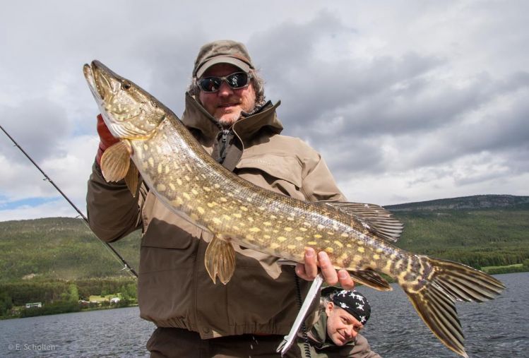 Pike on the fly at Lomnessjøen.