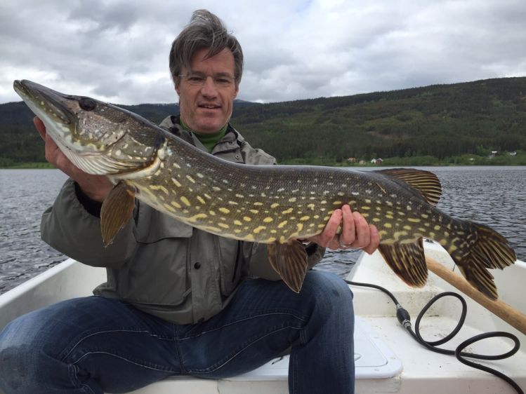 Pike on the fly at Lomnessjøen.