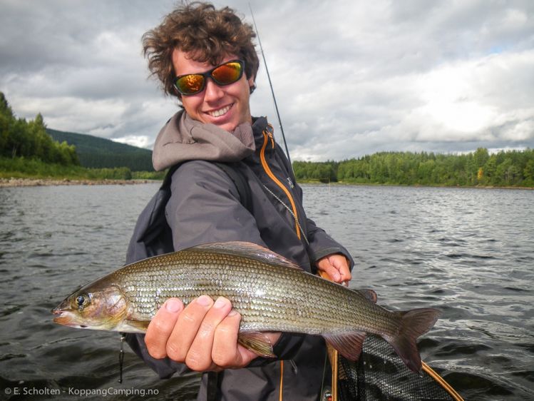 Fly fishing for trout, grayling, Whitefish and Pike on the river Glomma