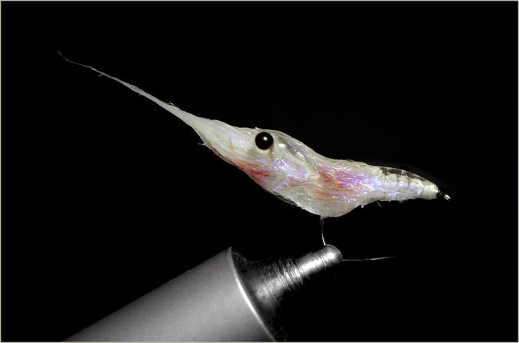 Mini tandem shrimp /CDC, uv dubbing, fox tail, uv resin/ extended on a broken hook