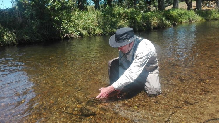  Mangatutu river 2017