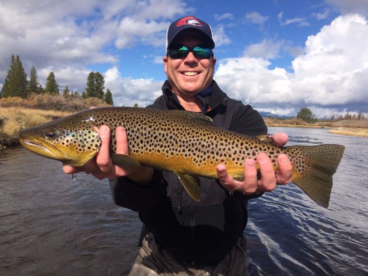 Fall brown trout - Madison River Yellowstone National Park