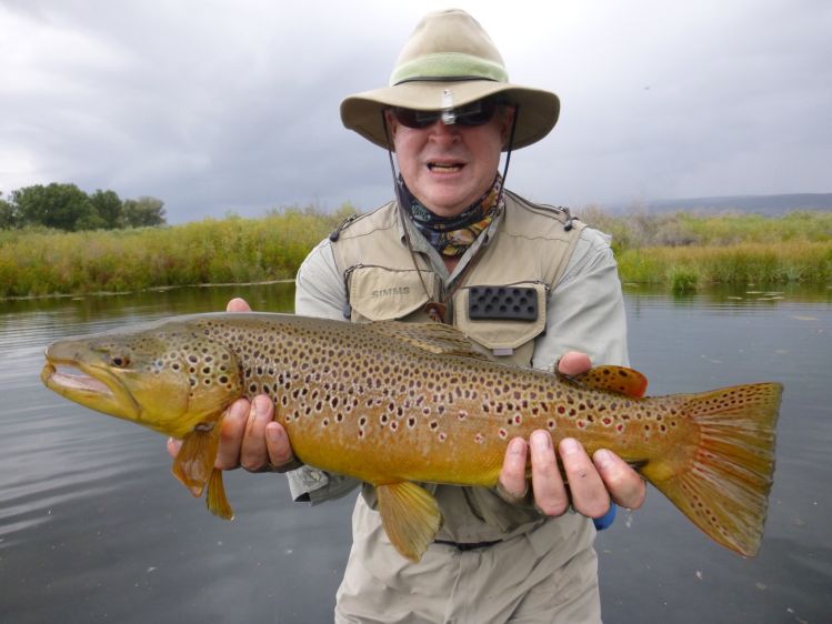 Brown Gold in OZ at Pearce's Spring Creek