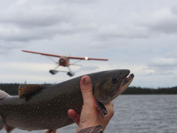 Beaver floatplane &amp; brook trout at Igloo Lake Labrador